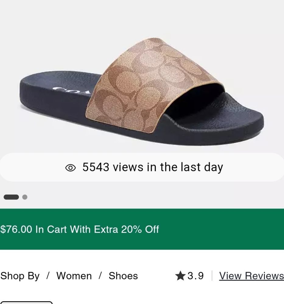 Coach slides
